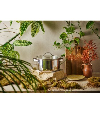 Miniatuur 5